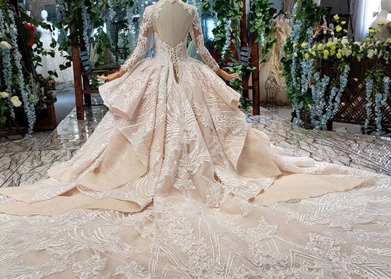 Tulle Wedding Bridal Ball Gowns Long Sleeves V Neckline Lace Applications